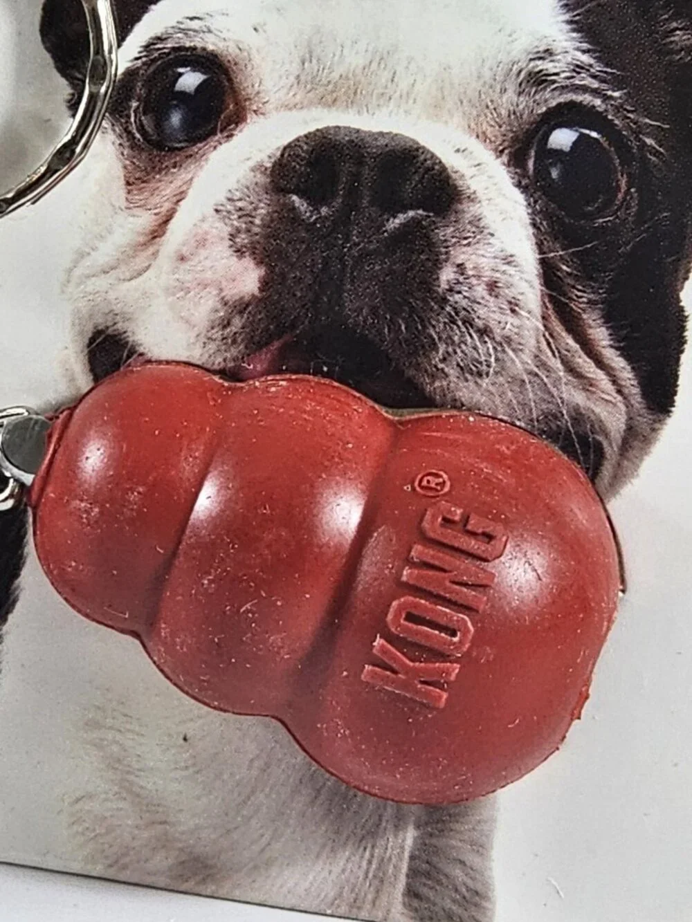 3 Pack KONG Keychain Mini Classic Red Dog Toy Key Ring Novelty Gift NEW